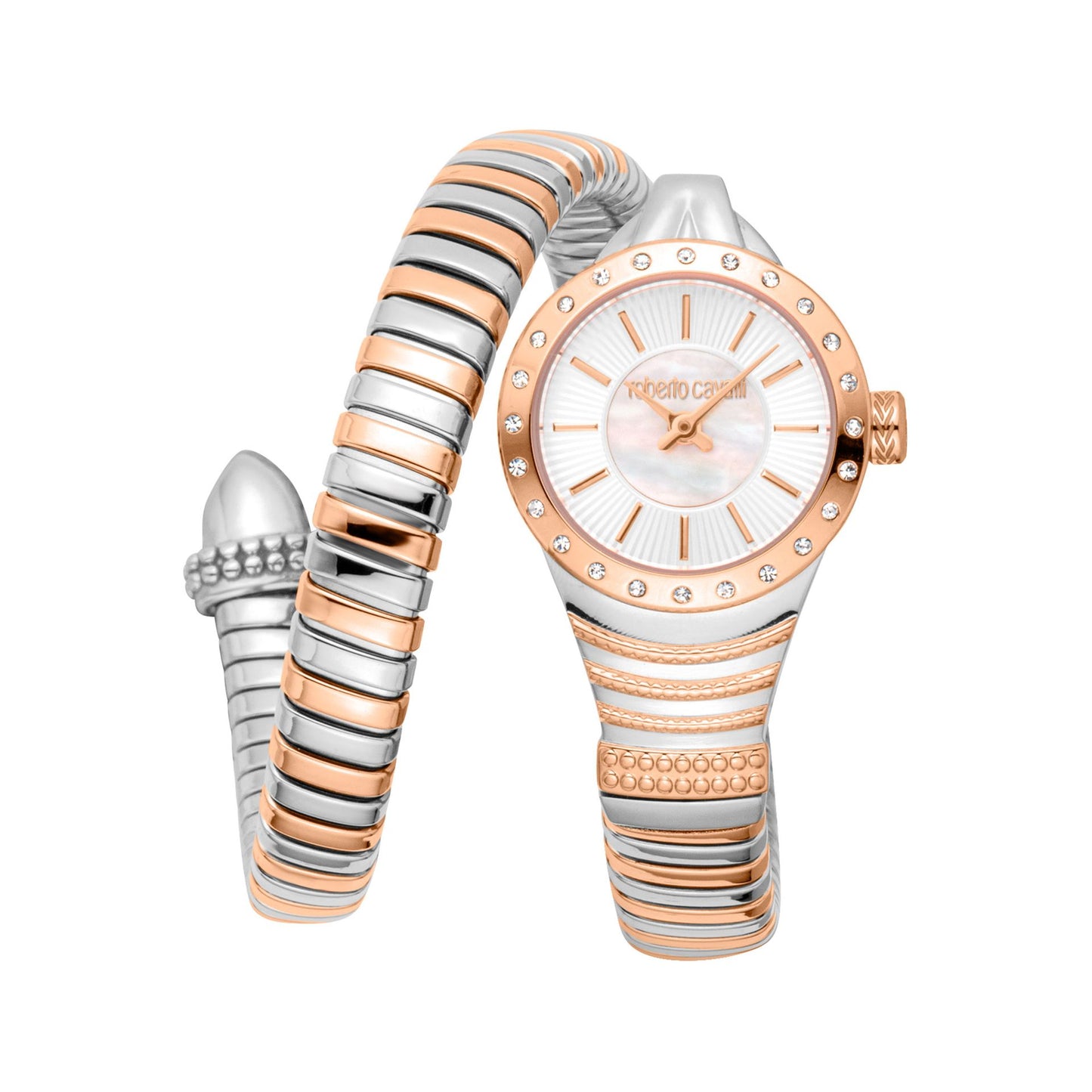 Roberto Cavalli Montres