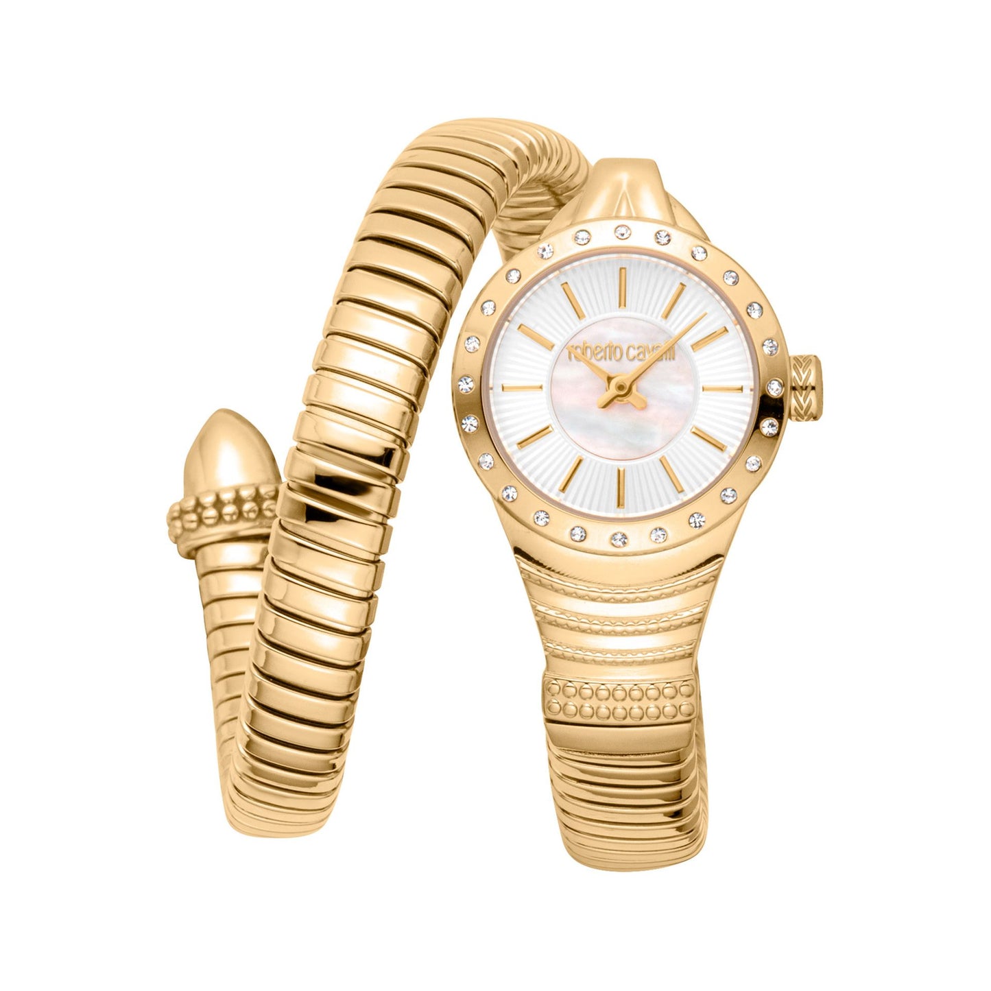 Roberto Cavalli Montres