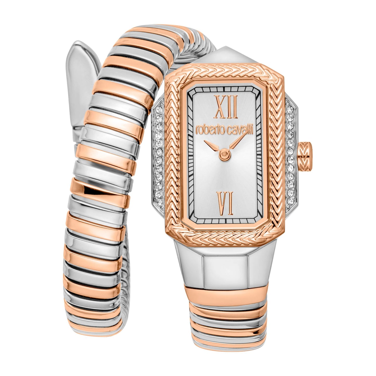 Roberto Cavalli Montres