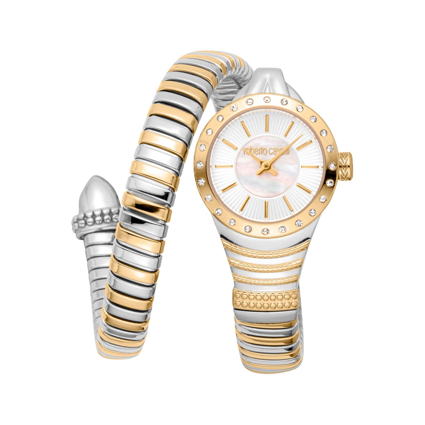 Roberto Cavalli Montres