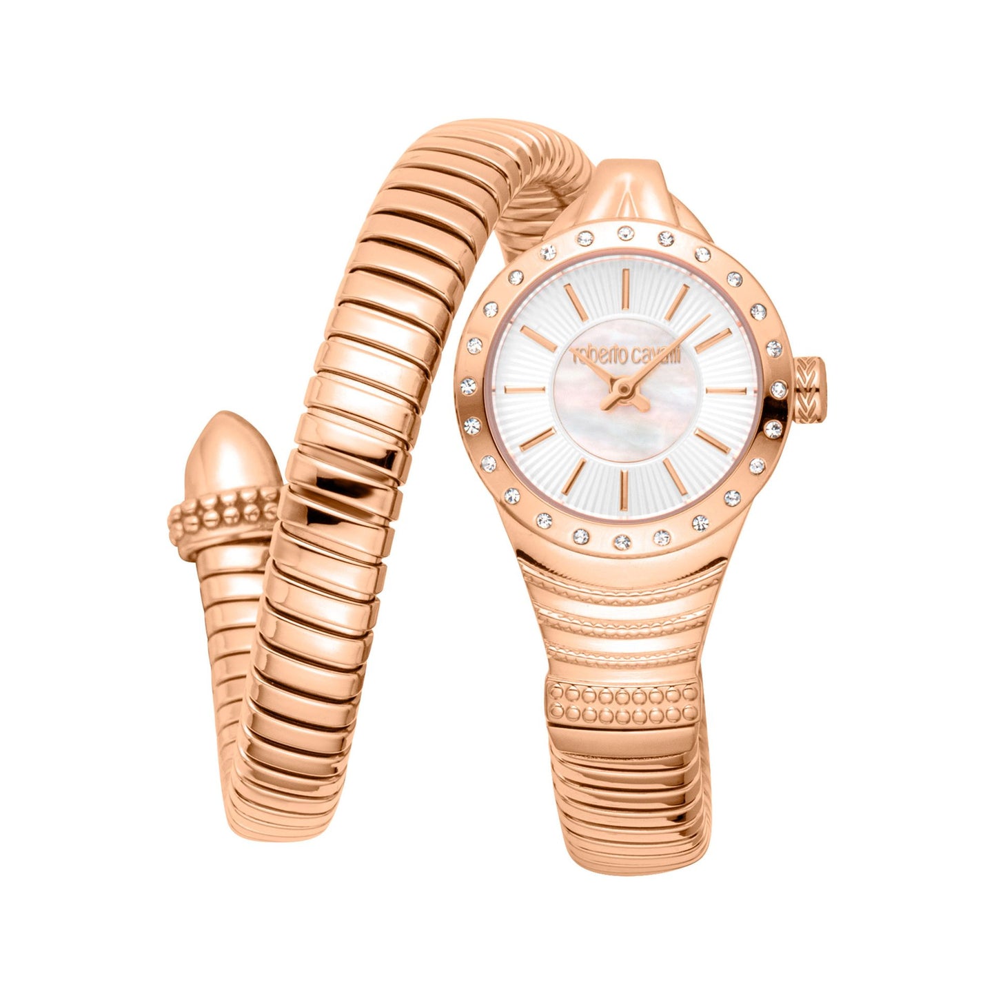 Roberto Cavalli Montres